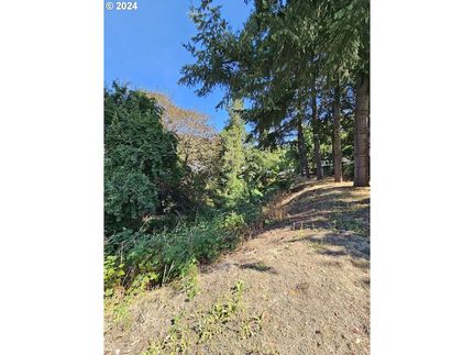 Homesite for sale in Douglas County, Oregon