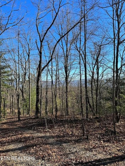Hunting Property for sale in Blount County, Tennessee