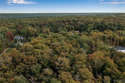 Undeveloped Land for sale in Erie County, New York