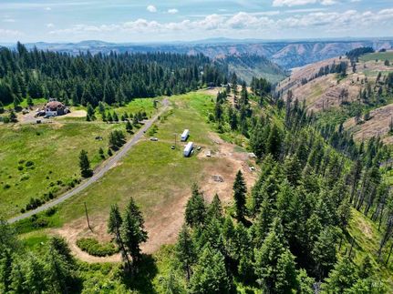 Undeveloped Land for sale in Lewis County, Idaho