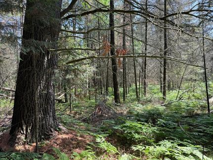 Recreational Property for sale in Oneida County, Wisconsin