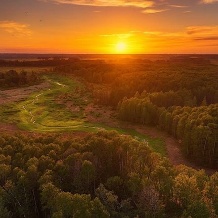 Lakefront Property for sale in Jefferson County, Florida