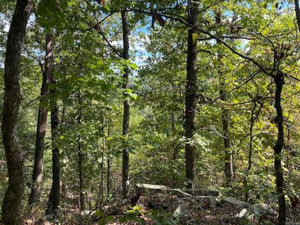 Homesite for sale in Stone County, Arkansas