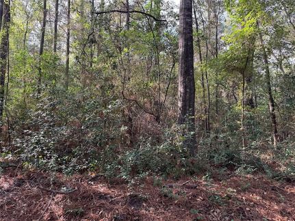 Timberland Property for sale in DeSoto Parish, Louisiana