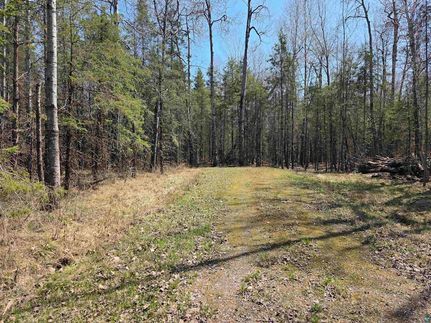 Timberland Property for sale in Ashland County, Wisconsin