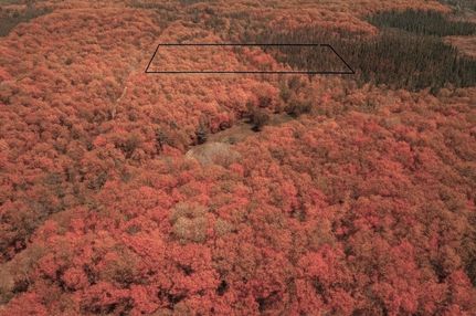 Farm and Ranch for sale in Bayfield County, Wisconsin