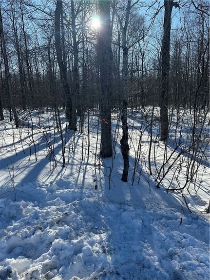 Land for sale in Otsego County, New York