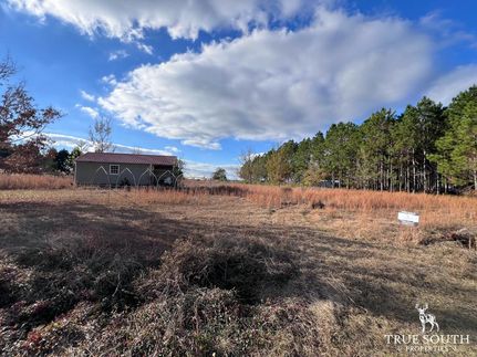 Homesite for sale in Screven County, Georgia
