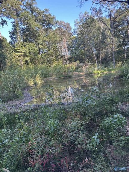 Farm and Ranch for sale in Calhoun County, Alabama