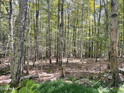 Timberland Property for sale in Wayne County, Pennsylvania