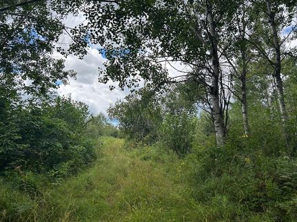 Timberland Property for sale in Pine County, Minnesota