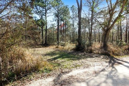 Undeveloped Land for sale in Mobile County, Alabama