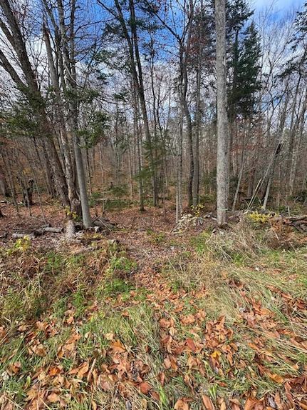Timberland Property for sale in Windsor County, Vermont
