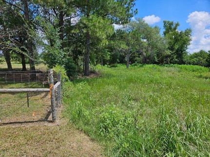 Homesite for sale in Grimes County, Texas
