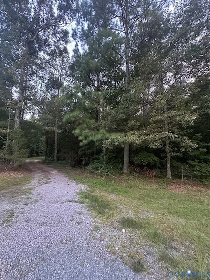 Timberland Property for sale in Sussex County, Virginia