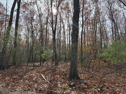 Timberland Property for sale in York County, Maine