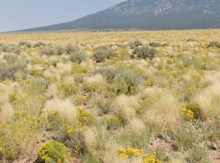 Land for sale in Costilla County, Colorado