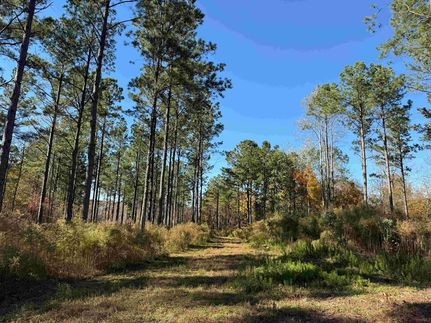 Land for sale in Martin County, North Carolina