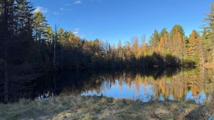 Undeveloped Land for sale in Orange County, Vermont