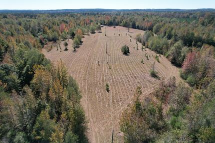 Timberland Property for sale in Sumter County, Alabama