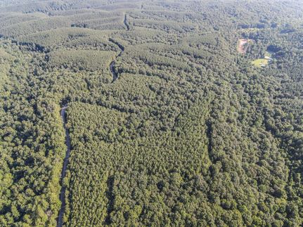 Recreational Property for sale in Lewis County, Tennessee