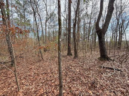 Land for sale in Shelby County, Alabama