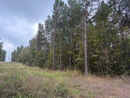 Land for sale in Miller County, Arkansas