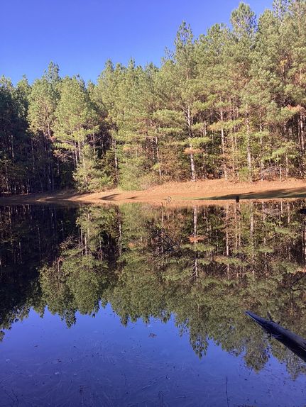 Land for sale in Kemper County, Mississippi