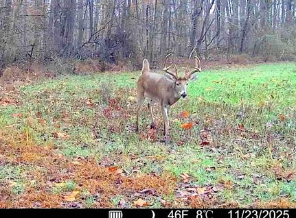 Farm and Ranch for sale in Union County, Illinois