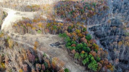 Homesite for sale in Hickman County, Tennessee