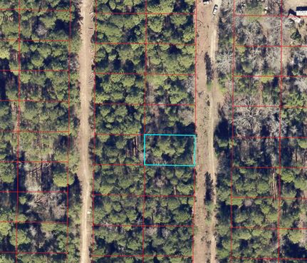 Land for sale in Harrison County, Texas