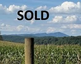 Land for sale in Surry County, North Carolina