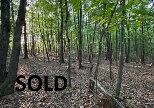 Homesite for sale in Wilkes County, North Carolina
