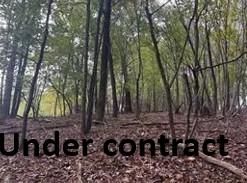 Land for sale in Surry County, North Carolina