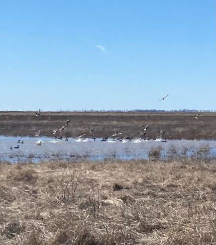 Land for sale in New Madrid County, Missouri