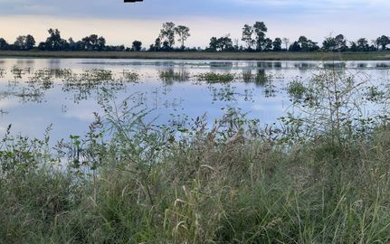 Land for sale in New Madrid County, Missouri