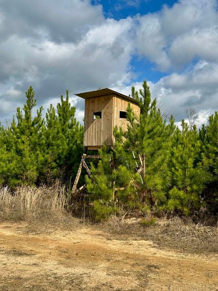 Land for sale in Jasper County, Mississippi