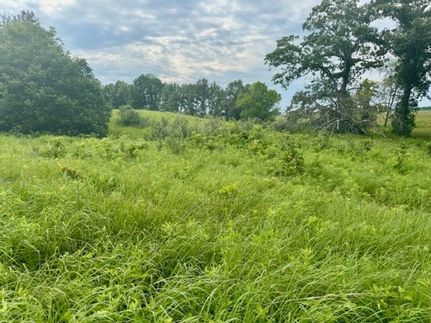 Commercial Property for sale in Schuyler County, Illinois