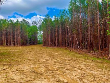 Land for sale in Lincoln County, Mississippi
