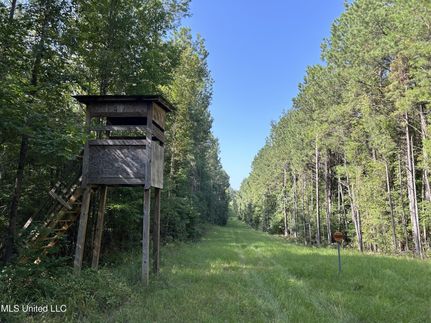 Lakefront Property for sale in Copiah County, Mississippi