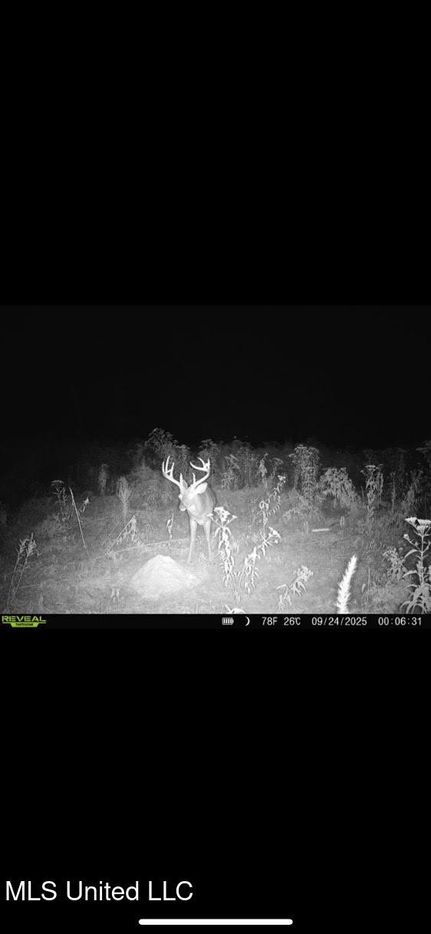 Lakefront Property for sale in Holmes County, Mississippi