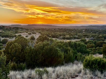 Farm and Ranch for sale in Donley County, Texas