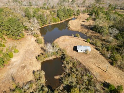 Hunting Property for sale in Pike County, Alabama