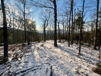 Timberland Property for sale in Carter County, Tennessee