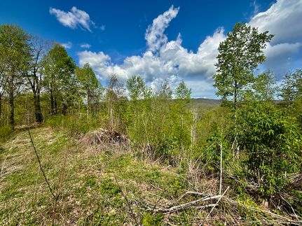 Land for sale in Unicoi County, Tennessee