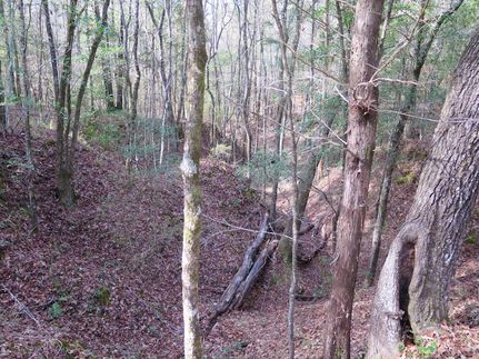 Farm and Ranch for sale in Lauderdale County, Mississippi