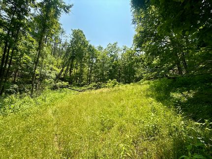 Farm and Ranch for sale in Johnson County, Tennessee
