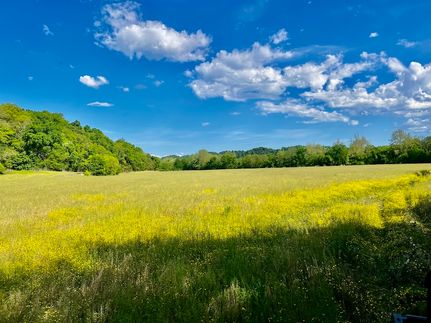 Land for sale in Greene County, Tennessee