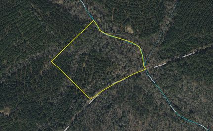 Land for sale in Wilkinson County, Georgia