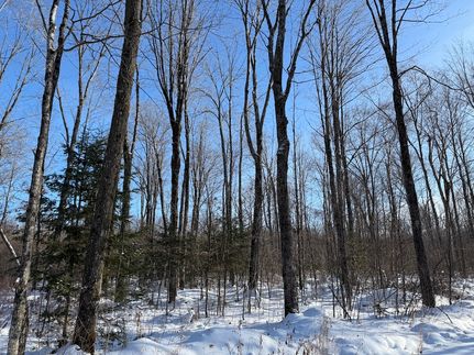 Farm and Ranch for sale in Lincoln County, Wisconsin